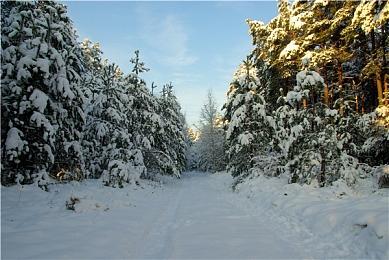 《无主之地4》新预告片引争议 密藏猎人造型不受待见