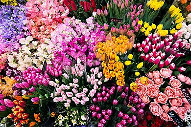 古墓丽影纳入麾下 Embracer三亿美元收购水晶动力等工作室