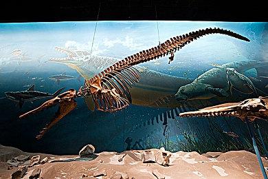 据VGChartz报道：PS5销量破2400万 NS售出1.1亿台